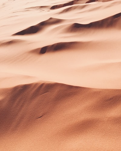 沙漠沙子的照片
